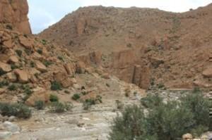 Can you say Dakar trails!